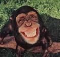 asta toto cu bill knd zambeste fortat  :d  :rotfl:  :rotfl: poze funny! ..;))