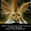 bill in lumea animalelor poze funny! ..;))